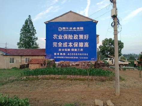 巴南墙体广告为何受追捧？