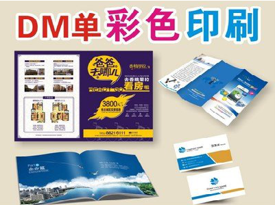 巴南单页印刷,色彩搭配简单。